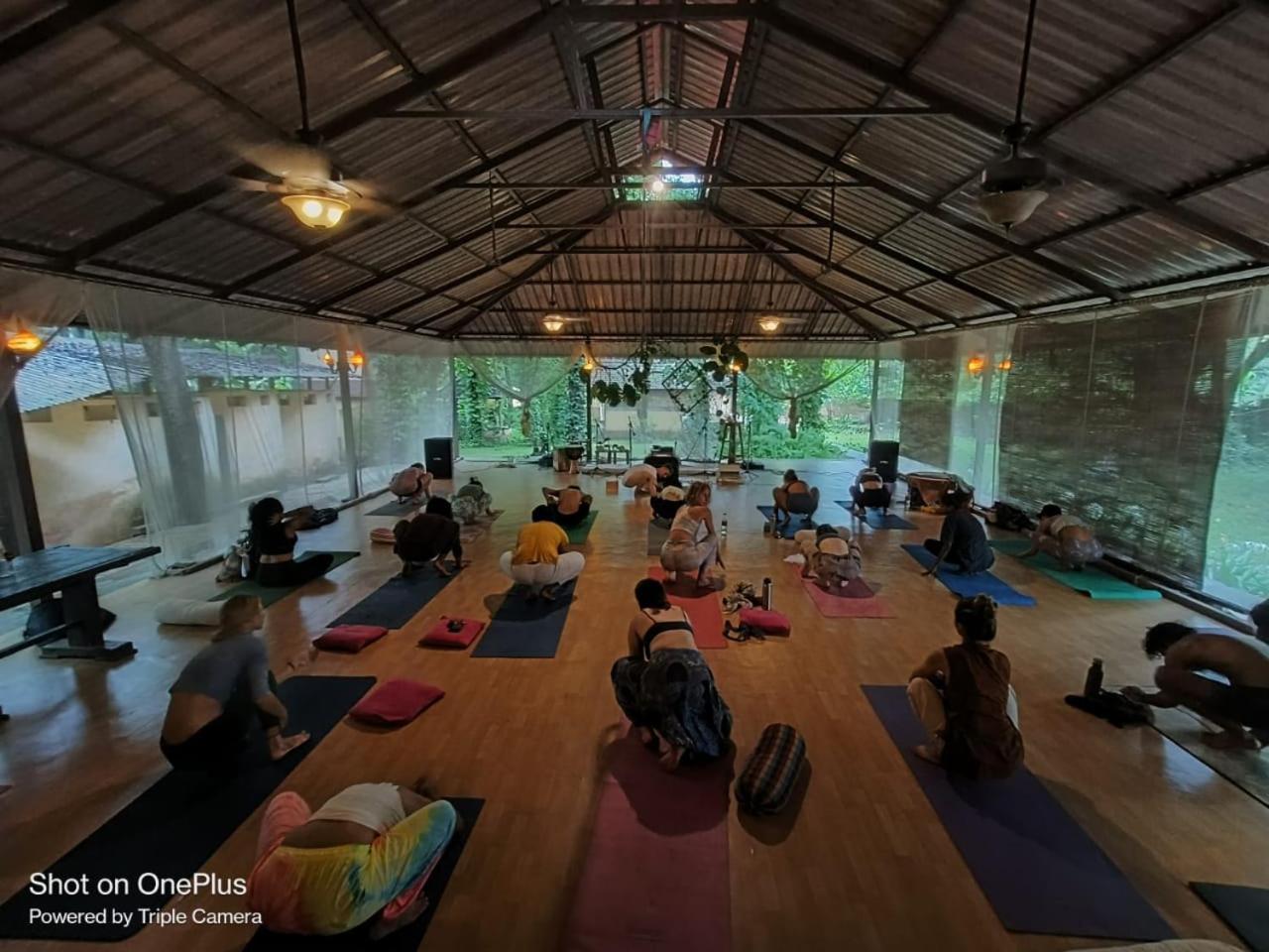 Satori Wellness Cottages I Yoga, Sauna, Ice Bath, Holistic Therapies & More مادريم المظهر الخارجي الصورة