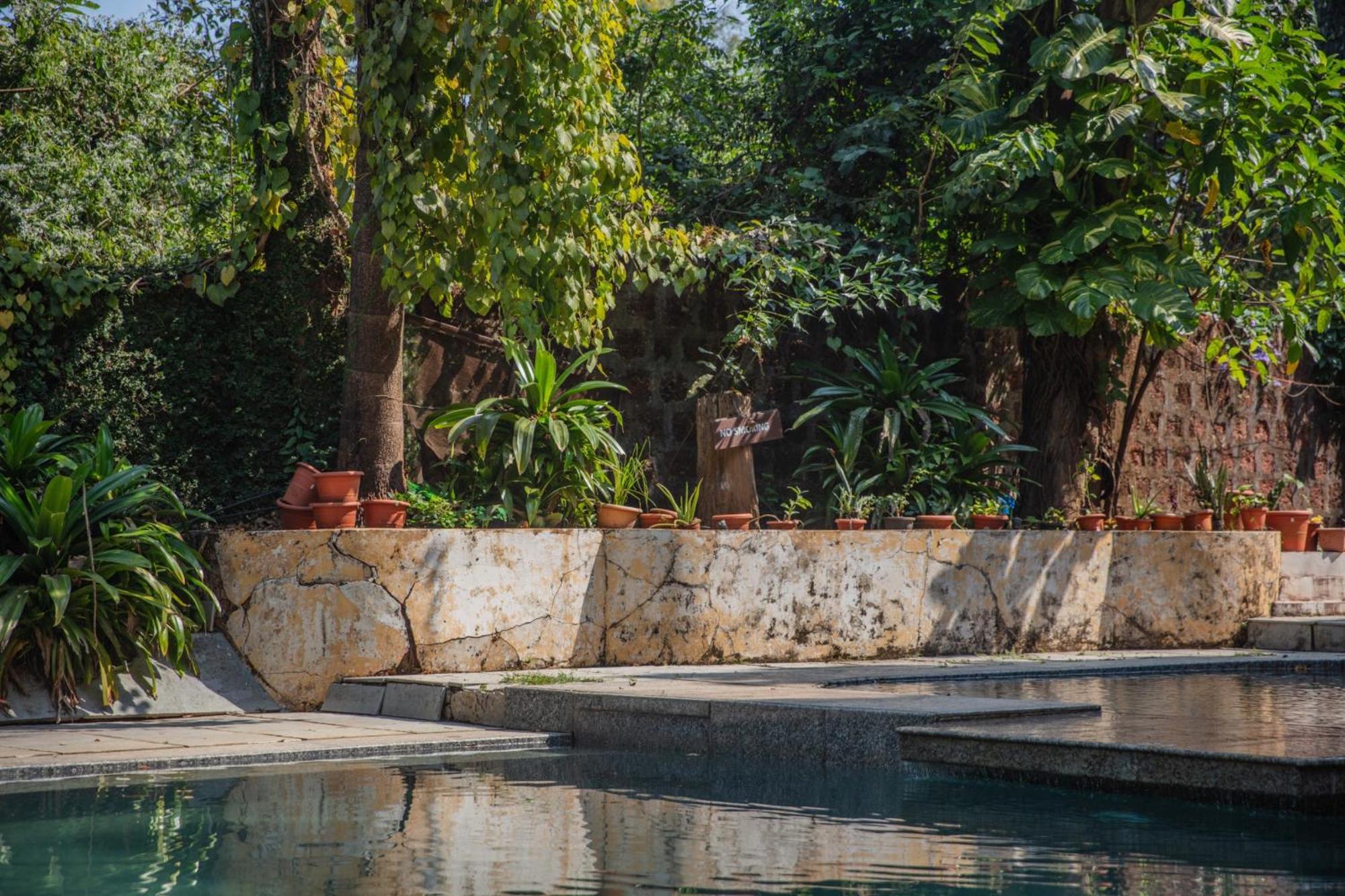 Satori Wellness Cottages I Yoga, Sauna, Ice Bath, Holistic Therapies & More مادريم المظهر الخارجي الصورة